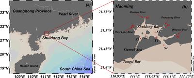 Effects of tidal variations on total nitrogen concentration, speciation, and exchange flux in the Shuidong Bay coastal water, South China Sea